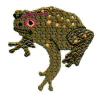 Frog.jpg (19193 bytes)