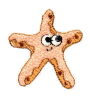 Large Starfish.jpg (14543 bytes)
