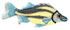 yellowbass.jpg (69945 bytes)