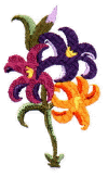 flower5.jpg (18030 bytes)
