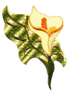 flower8.jpg (23064 bytes)
